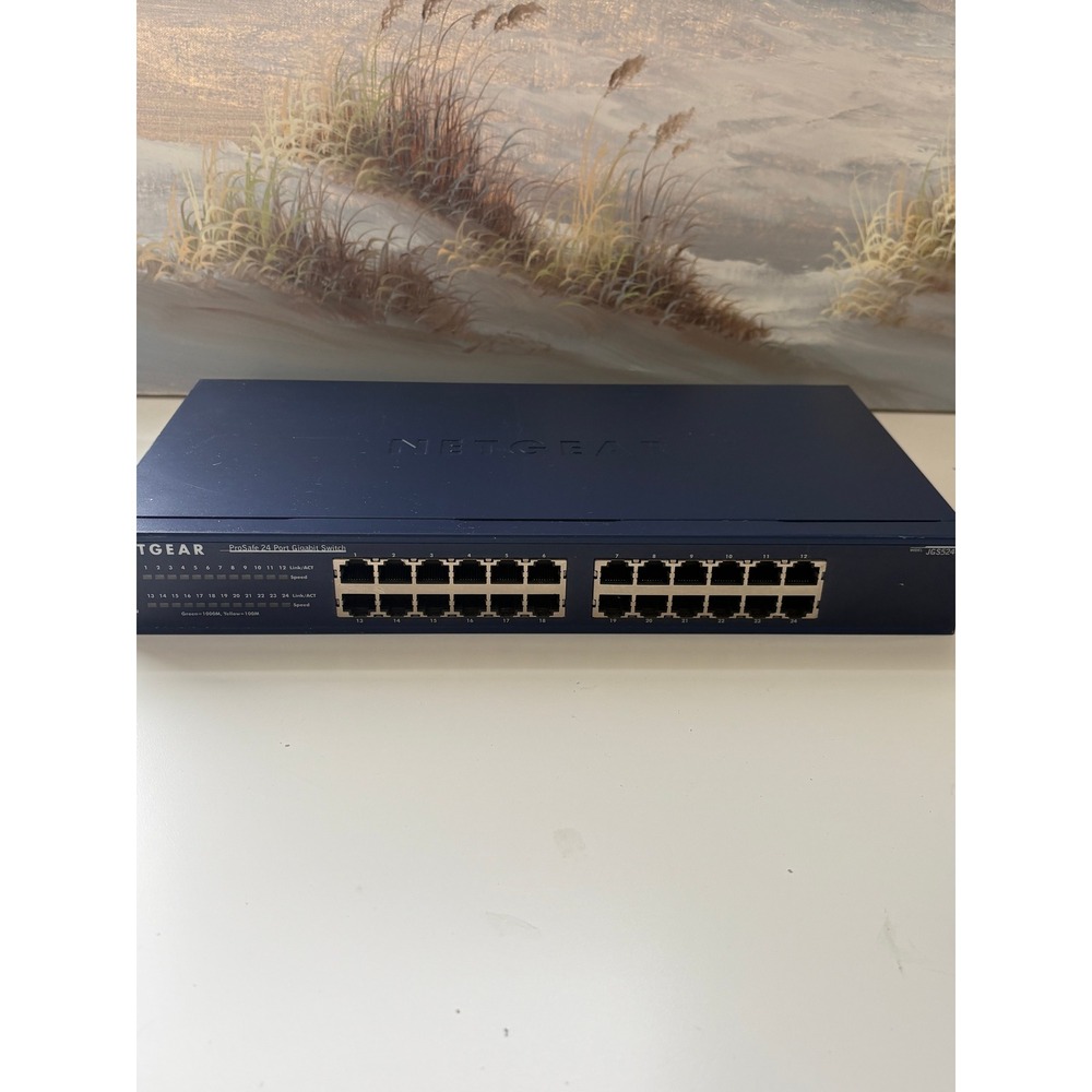 Netgear ProSafe 24 Port Gigabit Switch JGS524 v2 Blue Unmanaged Rackmount Switch